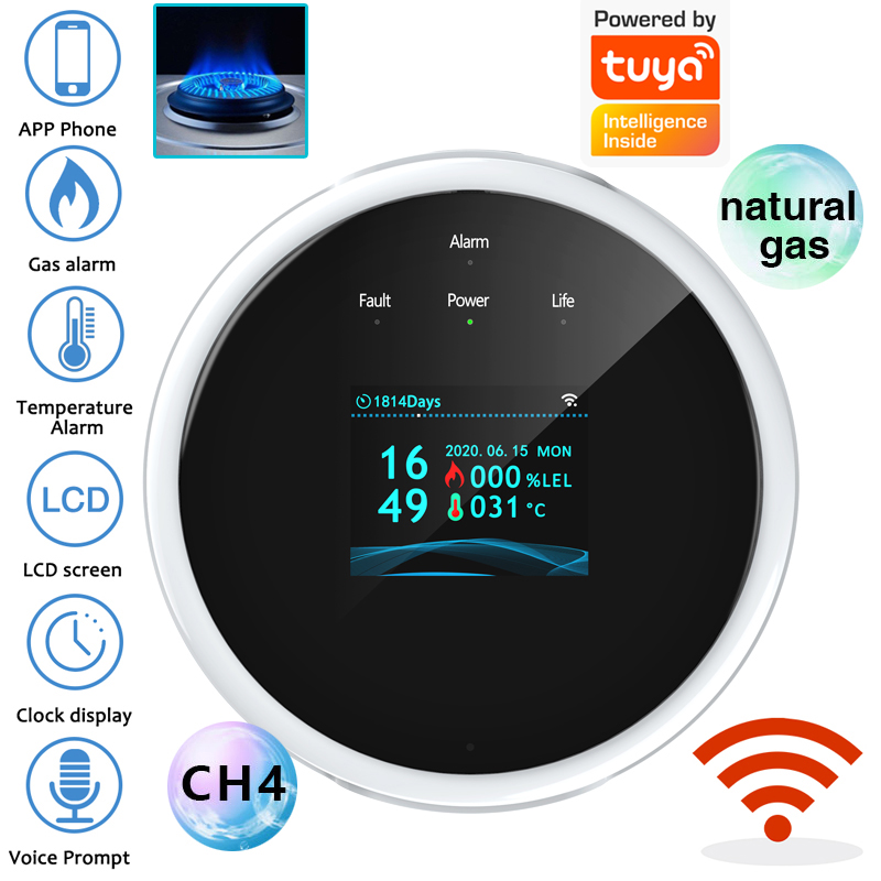 Smart Home Full System - 2.4G WiFi Gaz Alarm Sensörü Yanıcı