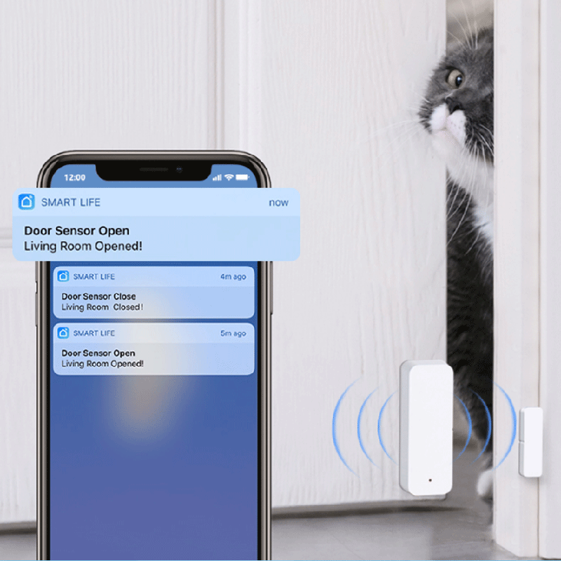 Tuya WiFi Zigbee Kapı Pencere  - Smart Home Wiz incelemesi ve fiyatı
